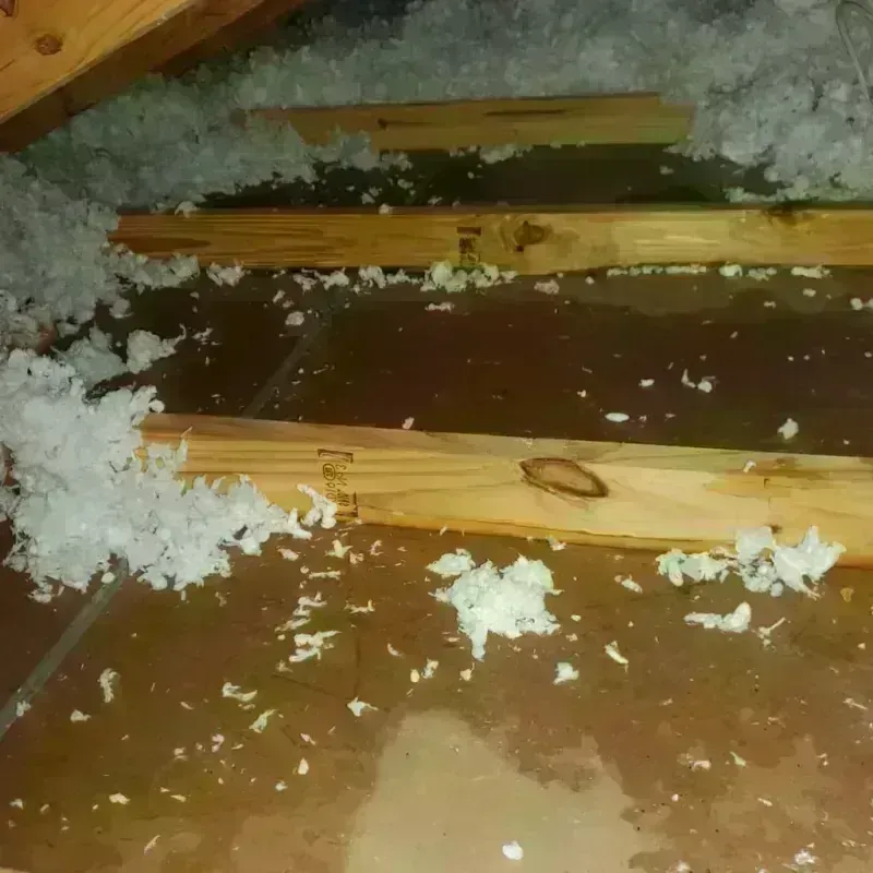 Attic Water Damage in Anderson County, TX